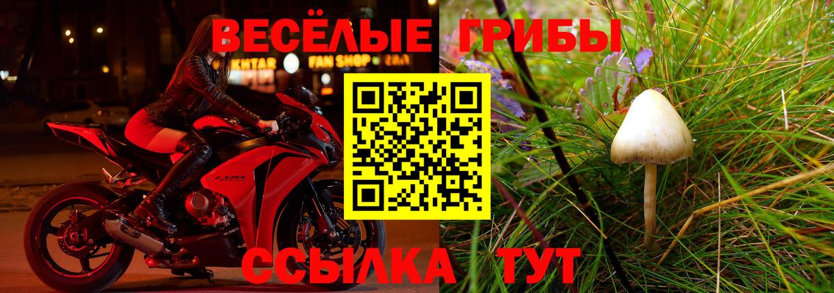 Галлюциногенные грибы мицелий  Вход с VPN  Надым  Галлюциногенные грибы Magic Shrooms 